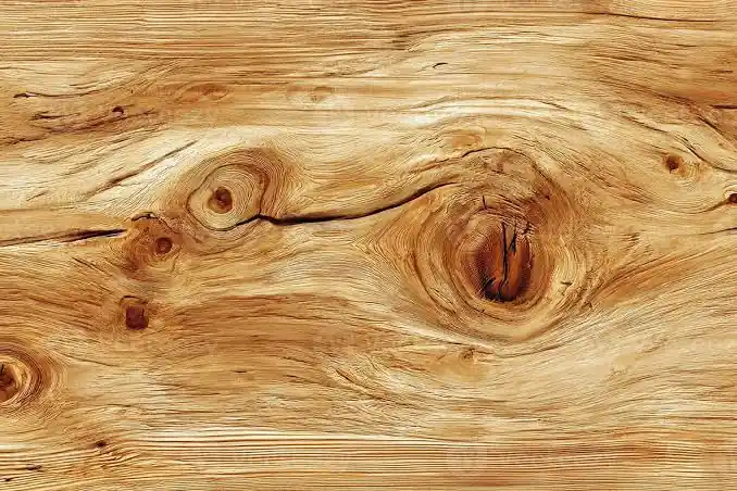Détail d’une surface de bois, texture illustrative
